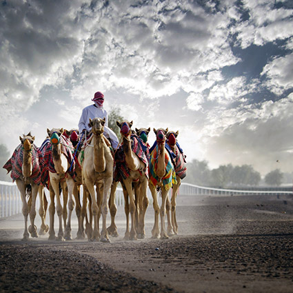 men with camel